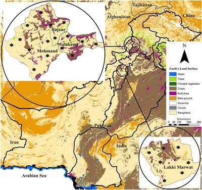 First report on detection of Hepatozoon ayorgbor in Rhipicephalus haemaphysaloides and Hepatozoon colubri in Haemaphysalis sulcata and Hyalomma anatolicum: risks of spillover of Hepatozoon spp. from wildlife to domestic animals